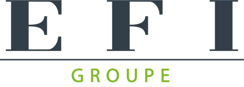 logo_efi_groupe